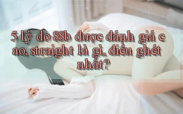 5 lý do 88b được đánh giá cao, straight là gì, điều ghét nhất