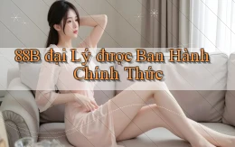 88b  đại lý được ban hành chính thức