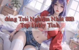 đáng trải nghiệm nhất 88b top 1 máy tính