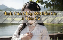 đỉnh của chóp 88b bầu cua tôm cá