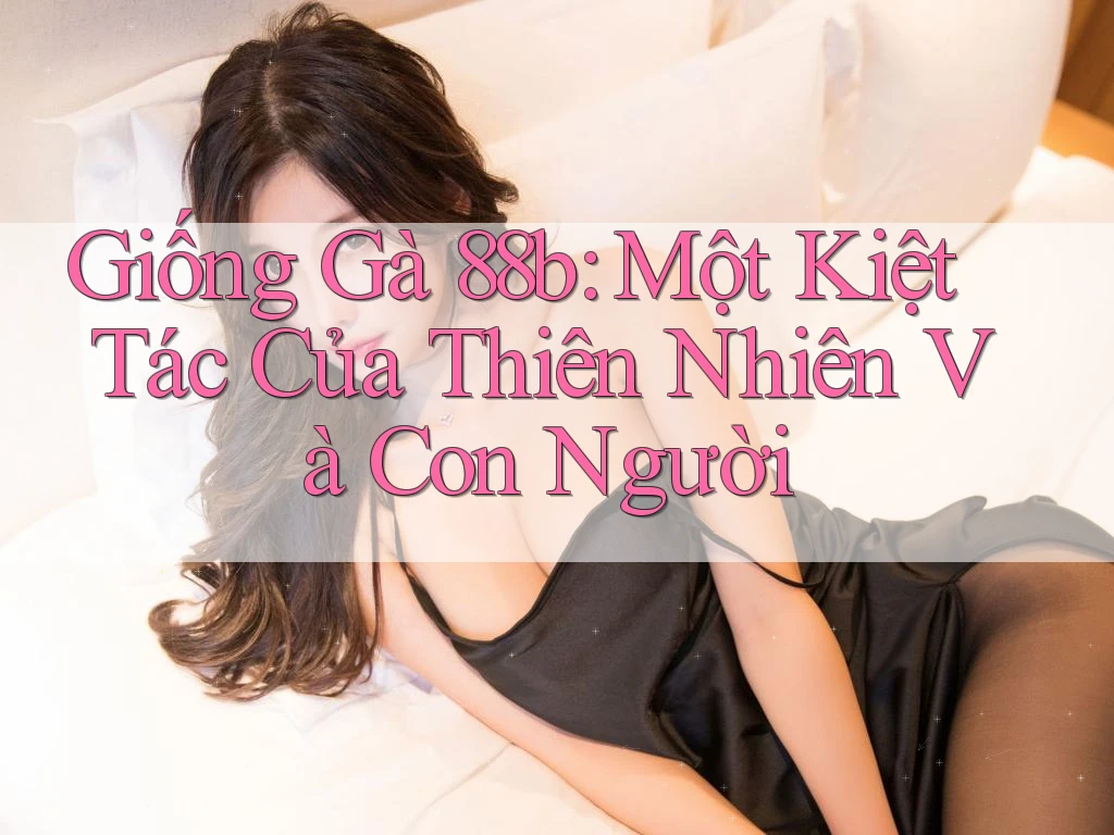 Giống Gà 88b: Một Kiệt Tác Của Thiên Nhiên Và Con Người Giống Gà 88b: Một Kiệt Tác Của Thiên Nhiên Và Con Người