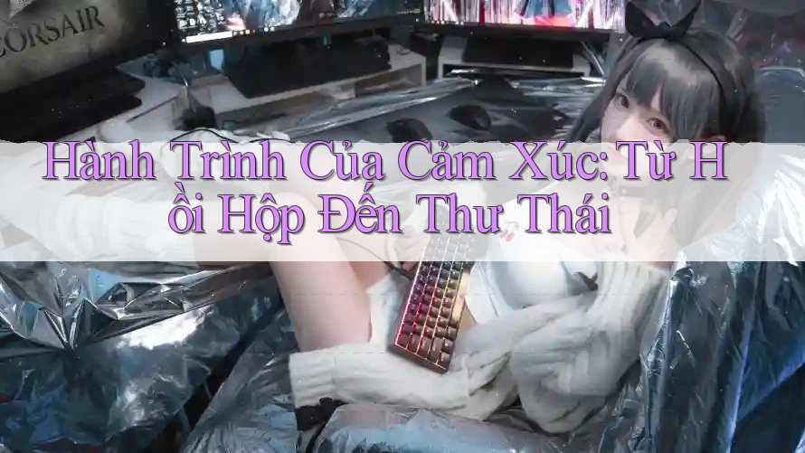 Hành Trình Của Cảm Xúc: Từ Hồi Hộp Đến Thư Thái