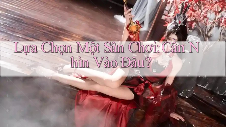 Lựa Chọn Một Sân Chơi: Cần Nhìn Vào Đâu? Lựa Chọn Một Sân Chơi: Cần Nhìn Vào Đâu?