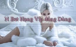 n bet hạng vip đáng dùng