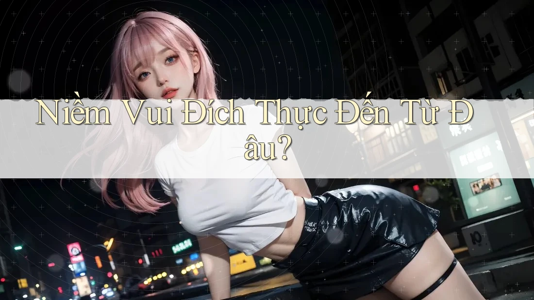 Niềm Vui Đích Thực Đến Từ Đâu?