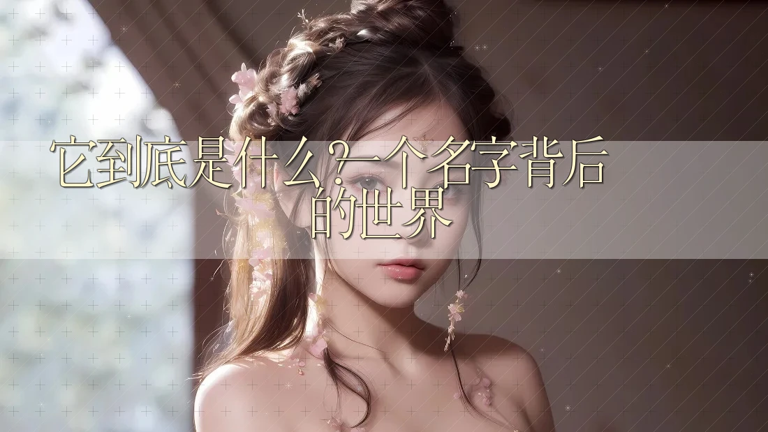 它到底是什么?一个名字背后的世界 它到底是什么?一个名字背后的世界