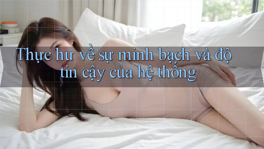 Thực hư về sự minh bạch và độ tin cậy của hệ thống Thực hư về sự minh bạch và độ tin cậy của hệ thống
