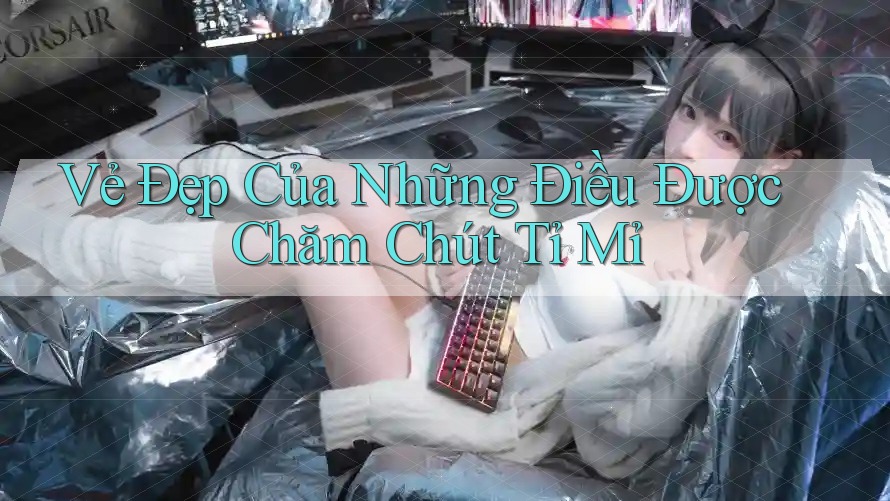 Vẻ Đẹp Của Những Điều Được Chăm Chút Tỉ Mỉ Vẻ Đẹp Của Những Điều Được Chăm Chút Tỉ Mỉ