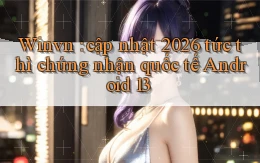 Winvn cập nhật 2026 tức thì chứng nhận quốc tế Android 13